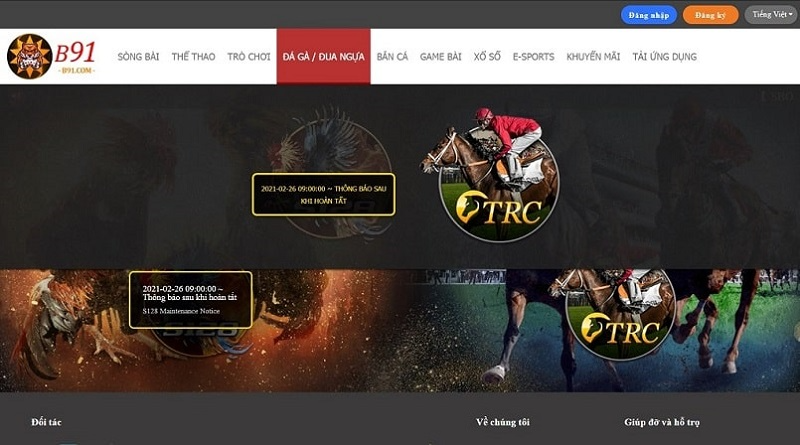 Đánh giá B91 - Ưu thế của một nhà cái lớn mạnh toàn cầu