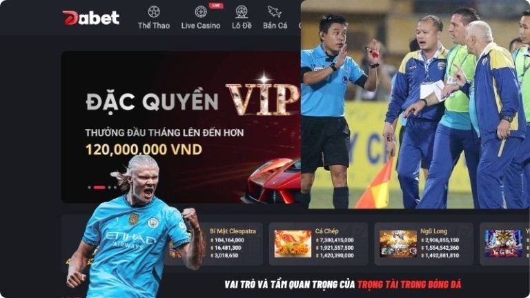 Vai Tr&ograve; V&agrave; Tầm Quan Trọng Của Trọng T&agrave;i Trong B&oacute;ng Đ&aacute;