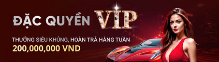 Đặc Quyền VIP